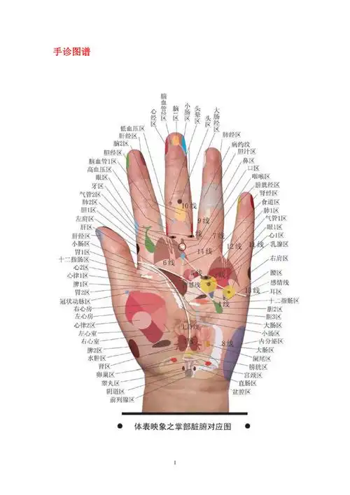 王晨霞手诊图谱