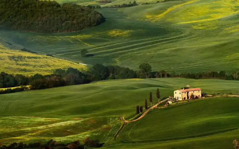 眼睛是不是有一点舒服的感觉.喜欢就把它设置成你的壁纸吧.