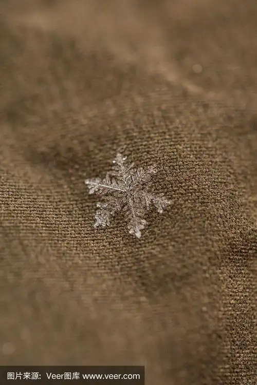 特写镜头真实的雪花