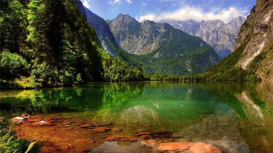 13抖音刷赞刷粉-麦子qq代刷13抖音刷赞刷粉抖音刷点赞评论会热门