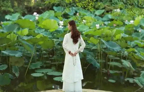 修心的最高境界