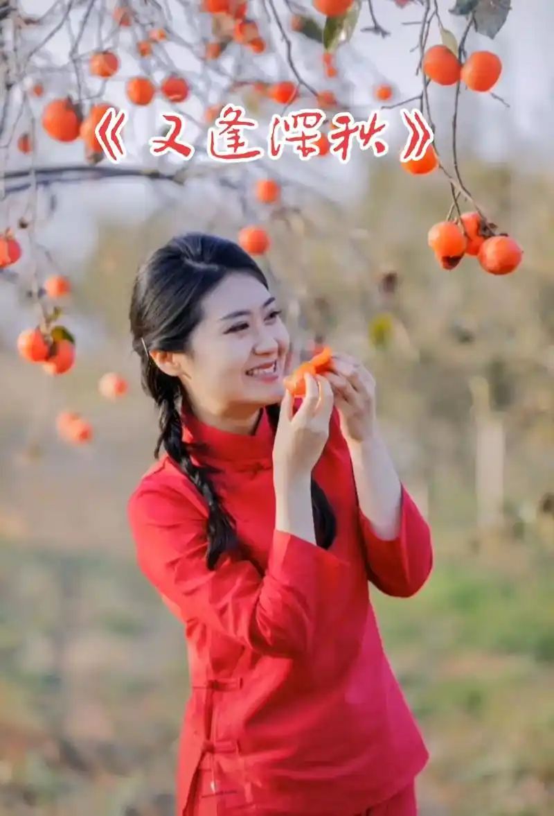 一首经典名歌《又逢深秋》又97了!