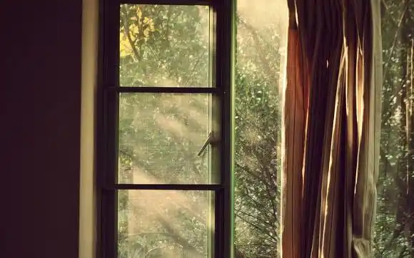 "最喜欢的便是清晨,睁开眼睛,映入眼帘的是窗外照射进来的第一缕阳光