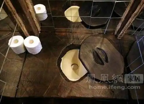 离奇古怪的"方便"之处 全球另类厕所大合集