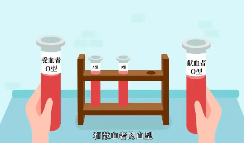 交叉配血实验的主要考虑因素 是供血者红细胞上的凝集原 是否会和受血