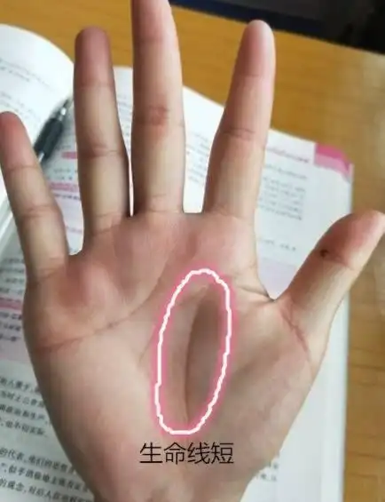 有两条生命线,代表比较长寿吗? 生命线会变化吗