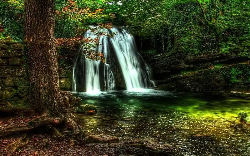 描述: 春天瀑布森林hdr-自然高清壁纸 当前壁纸尺寸: 1440 x 900