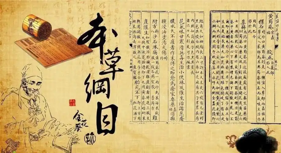 《本草纲目》对金花葵药理的记载(原版影印)