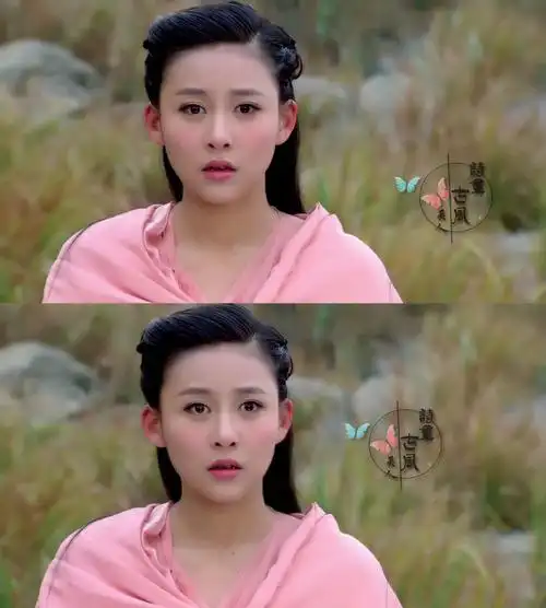 贾青《天龙八部》【阿朱】听香水榭娇媚在,塞上牛羊空许约.