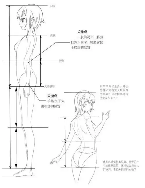 掌握人体绘画技巧画出你心目中的美少女吧