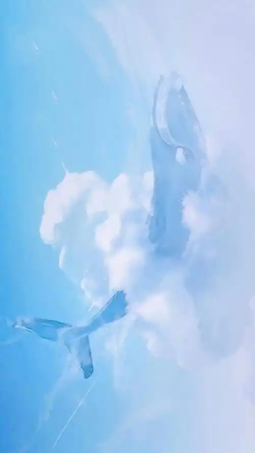 北冥有鱼其名为鲲一组小清新壁纸送上