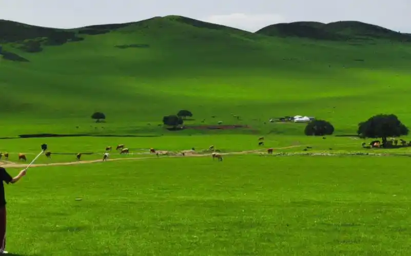 8月扎鲁特最美山地草原