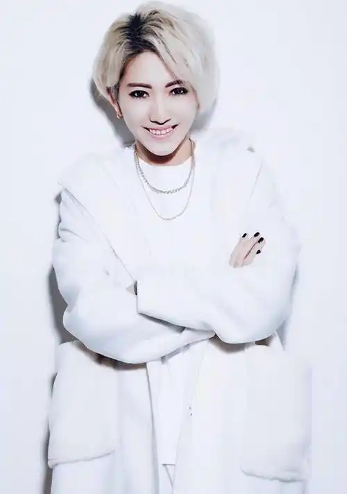 原创刘忻参加浪姐引发考古被称为最癫的2011届快女发生了什么