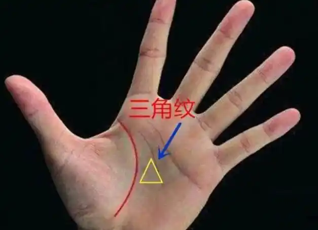 "三角纹"在哪里?|科学|现代|掌纹|手纹|三角形_网易订阅