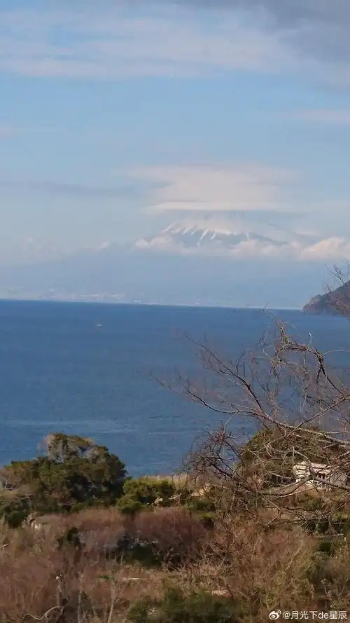 壁纸 风景 摄影 桌面 690_1227 竖版 竖屏 手机