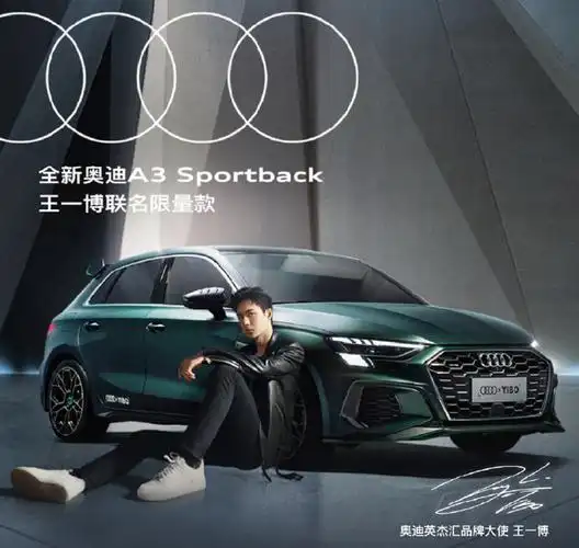 说到这里大家也都明白为什么奥迪要找到王一博代言产品了,但是有一点