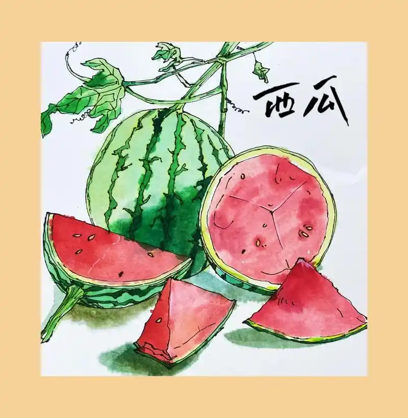 西瓜线描儿童创意美术绘画作品教程分享图片步骤, - 抖音