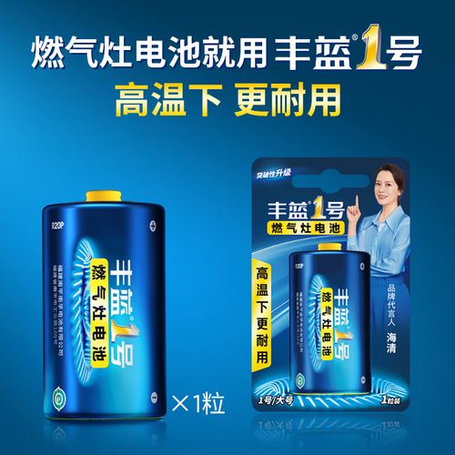 南孚 电池 丰蓝1号 燃气灶电池 煤气灶热水器大号d电池2节碳性干电池