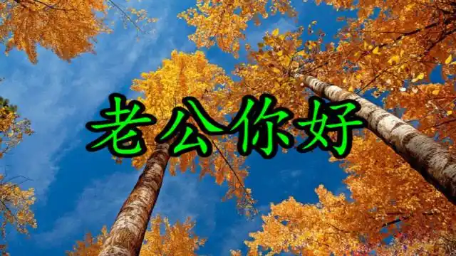 《老公你好》工作再累,回家有这样的女人关心,也是值得的,感动