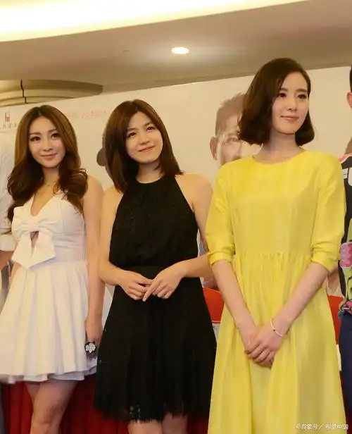 由王子鸣执导,文章,李连杰,刘诗诗,陈妍希等人主演