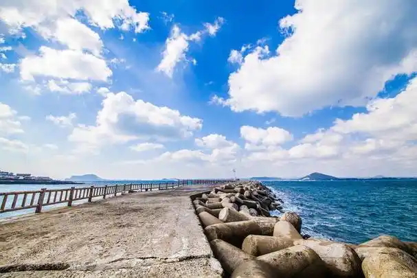 大梅沙海滨公园是一处深受人们喜爱的旅游景点,为了方便游客入园