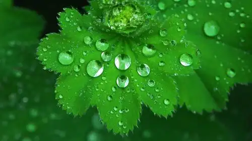 模板做设计就五分钟的事做完了赶紧护护眼这样才有好视力看小编吹水