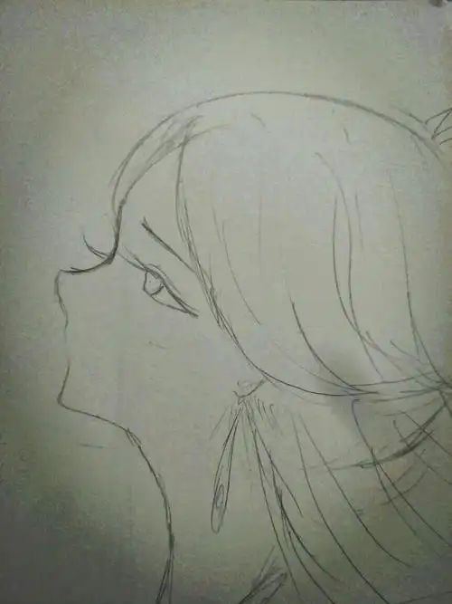 侧脸不喜请喷(>ω *)