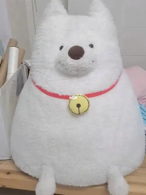 王源roy6爱迪公仔怎么清洗