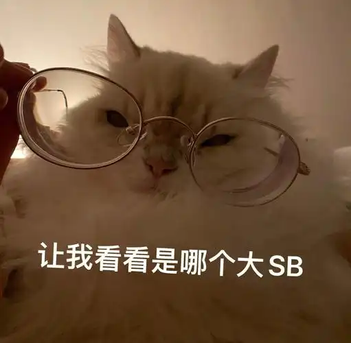 高度近视真是要命[猪头r]「图1是表情包哈哈哈哈哈,没有在骂人」