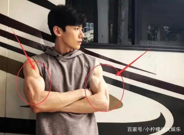 白敬亭的肌肉十分明显