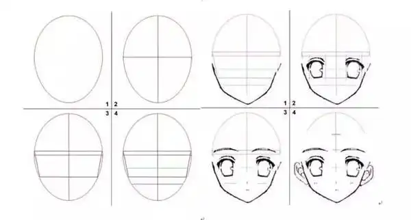 (按照"三庭五眼"的比例起稿)