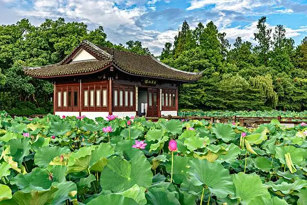 杭州西湖风光曲院风荷