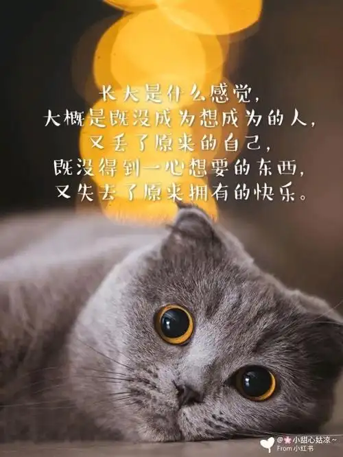 长大后我没有什么朋友,也没有很爱我的人,我的心突然空了,原来我这么