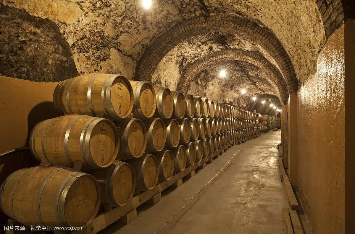 葡萄酒酒窖