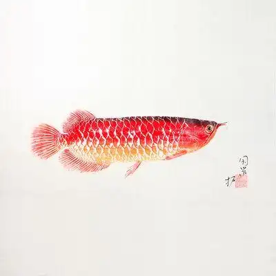 黑鲷鱼拓 名家手书画 现代鱼拓 装饰画 中式挂画 中国风礼品挂画