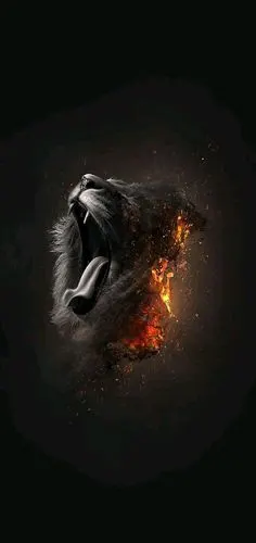 完美适配加6的黑色壁纸