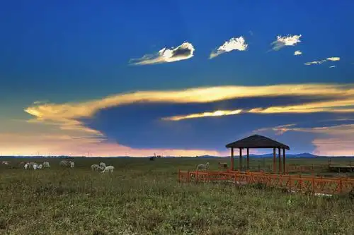 河北沽源--五花草甸景区