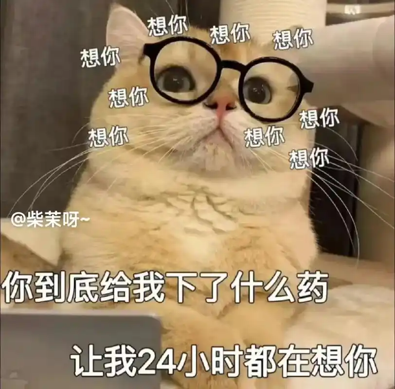 想你了 你怎么都不发消息.#猫咪表情包 #表情包 #趣味表情 - 抖音