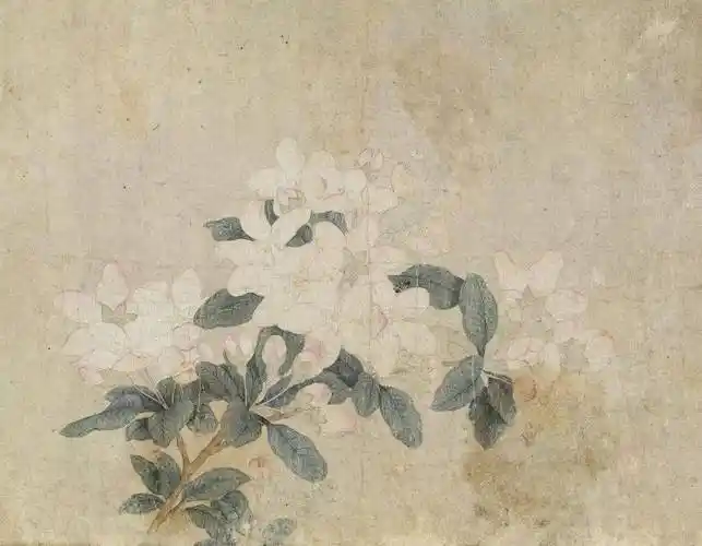 春日里的花花世界