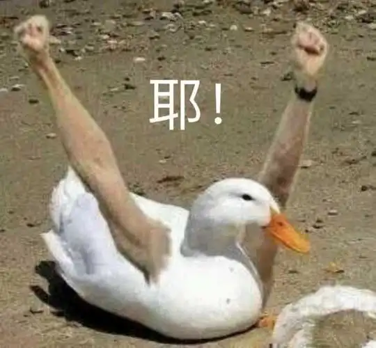 这种小鸭子表情包在哪里找?