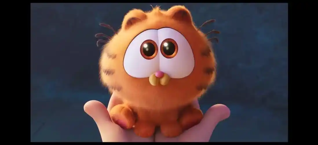 小时候的加菲猫好可爱