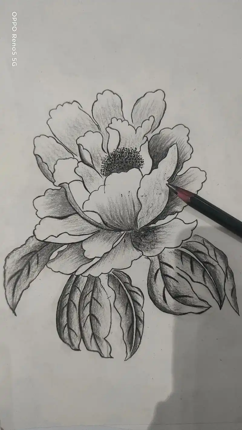 牡丹花.#自学画画打卡 国花牡丹#日常瞎画 #素描 - 抖音