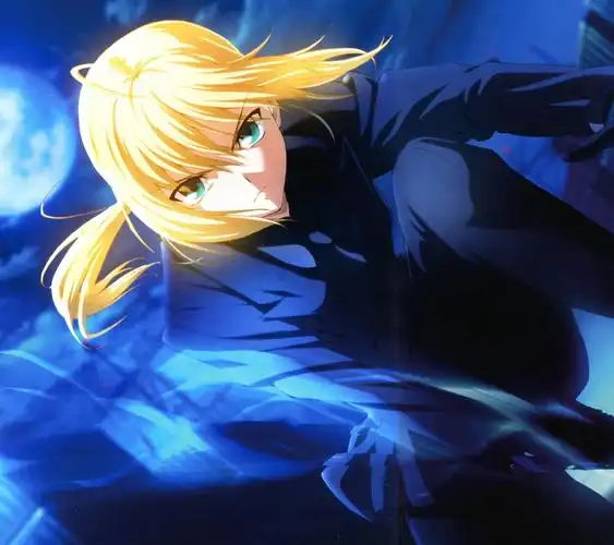 fatestaynight命运守护之夜圣杯战争セイバーsaber吾王图集