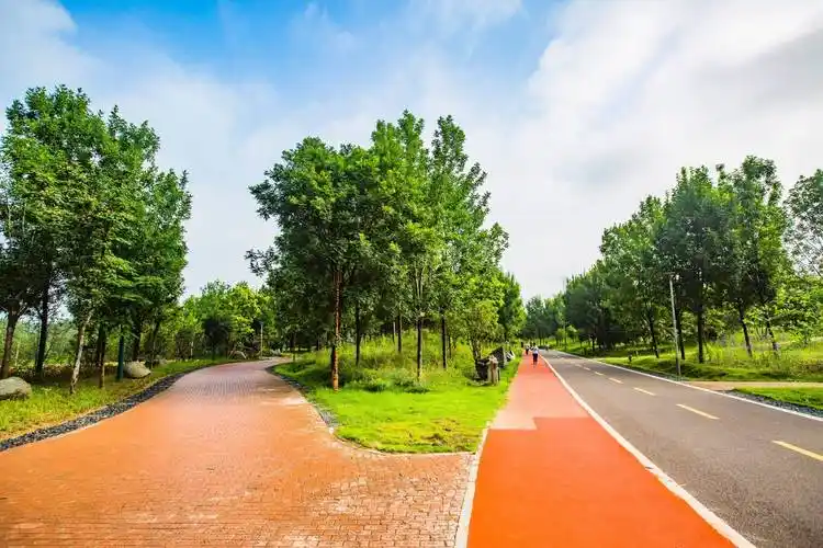 三门峡庙底沟考古遗址公园,穿越时空,探秘"史前中国"的魅力_历史_人们