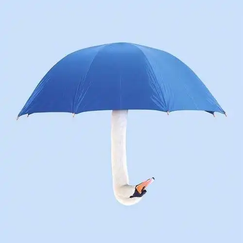 超有创意的照片处理