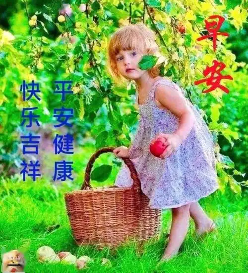 唯美早上好早安图片带字带祝福语