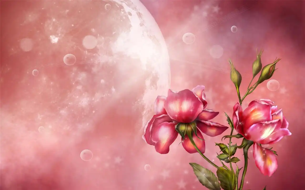 梦幻月亮花朵高清电脑桌面主题壁纸大全