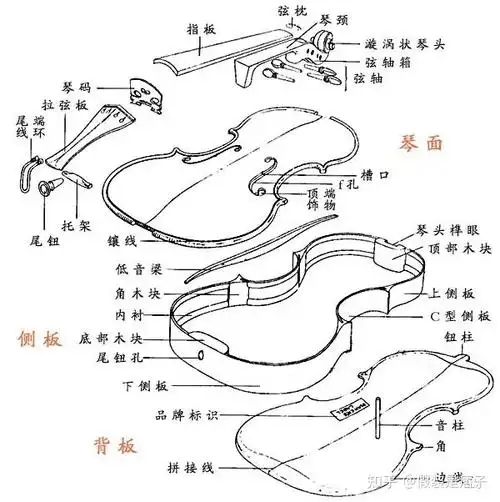 维罗尼卡教你如何挑选小提琴