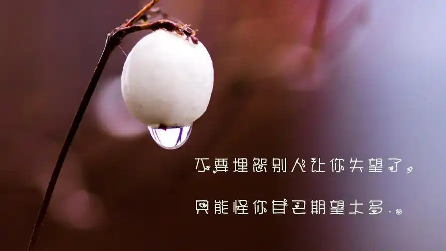 心凉透了句子说说心情图片