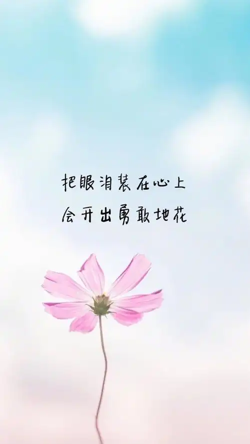 精美文字语录图片手机壁纸